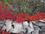 DSCN0575